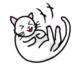 Cat of jade green eyes sticker #4956797