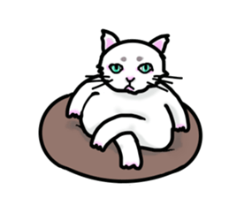 Cat of jade green eyes sticker #4956798