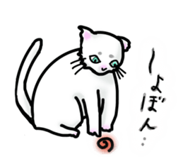 Cat of jade green eyes sticker #4956799