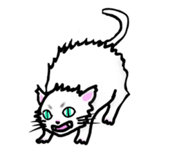 Cat of jade green eyes sticker #4956804
