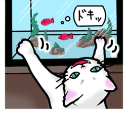 Cat of jade green eyes sticker #4956805