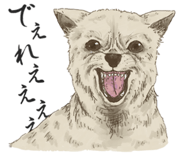 Be dyed in Okayama! sticker #4957354