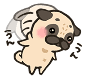Petit Pug sticker #4958091