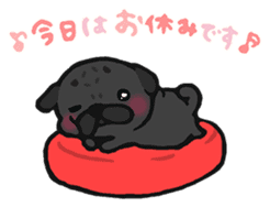 Petit Pug sticker #4958105