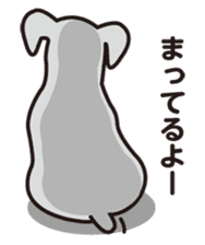 DOG Sticker/schnauzer-2 sticker #4958310