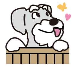 DOG Sticker/schnauzer-2 sticker #4958313
