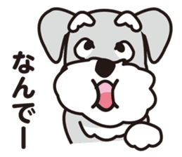 DOG Sticker/schnauzer-2 sticker #4958317
