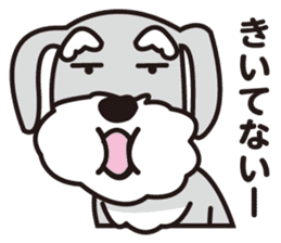 DOG Sticker/schnauzer-2 sticker #4958324