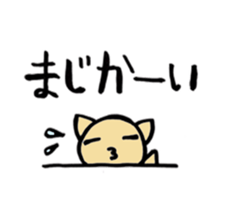 Bear, cat and koala. sticker #4958702