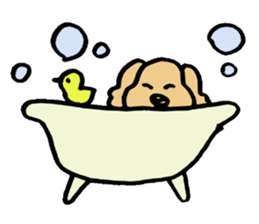 *Dappu* sticker #4958815