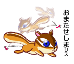 The hippest chipmunk "Shimarisu-kun" sticker #4958890