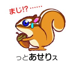 The hippest chipmunk "Shimarisu-kun" sticker #4958894