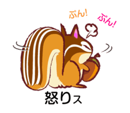 The hippest chipmunk "Shimarisu-kun" sticker #4958900