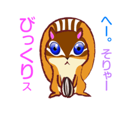 The hippest chipmunk "Shimarisu-kun" sticker #4958901