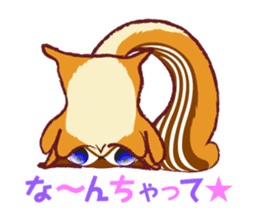 The hippest chipmunk "Shimarisu-kun" sticker #4958903