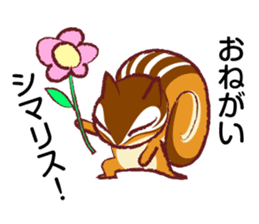 The hippest chipmunk "Shimarisu-kun" sticker #4958910
