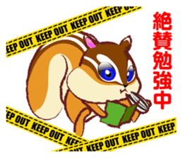 The hippest chipmunk "Shimarisu-kun" sticker #4958913