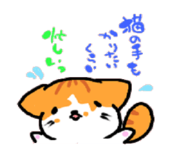 HouseCat "PIPPI" sticker #4959540