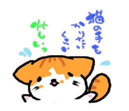 HouseCat "PIPPI" sticker #4959540