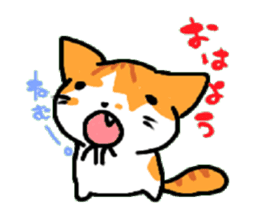 HouseCat "PIPPI" sticker #4959559