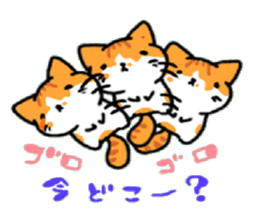 HouseCat "PIPPI" sticker #4959561