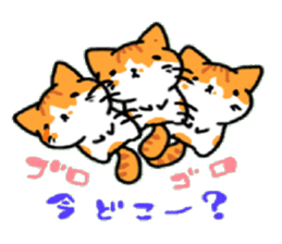 HouseCat "PIPPI" sticker #4959561
