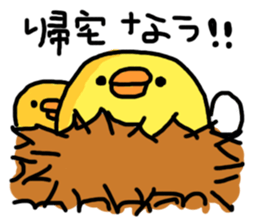 Super Funny Bird sticker #4961765