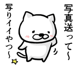 Cat always says one word too many 2. sticker #4962063