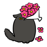 cat to sue sticker #4962397