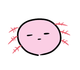 Japanese giant saramander and Axolotl sticker #4962995