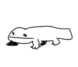 Japanese giant saramander and Axolotl sticker #4962998