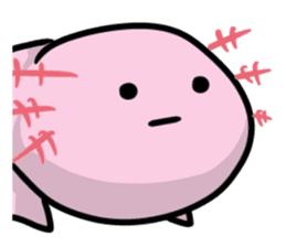 Japanese giant saramander and Axolotl sticker #4963001