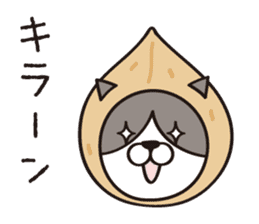 Walnut CAT! sticker #4963414