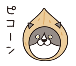 Walnut CAT! sticker #4963415