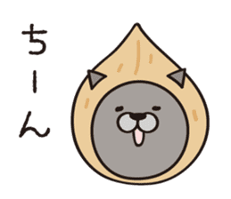 Walnut CAT! sticker #4963424