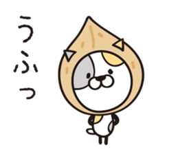 Walnut CAT! sticker #4963430