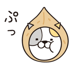 Walnut CAT! sticker #4963434