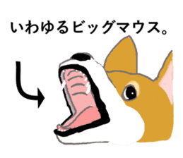 Shiba inu no kimochi in Japanese sticker #4976409