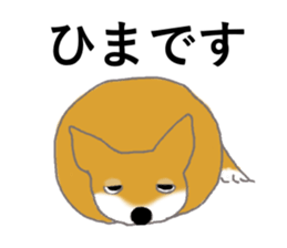 Shiba inu no kimochi in Japanese sticker #4976410