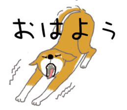 Shiba inu no kimochi in Japanese sticker #4976414