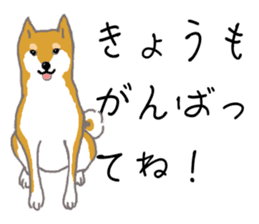 Shiba inu no kimochi in Japanese sticker #4976415