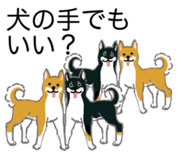 Shiba inu no kimochi in Japanese sticker #4976417