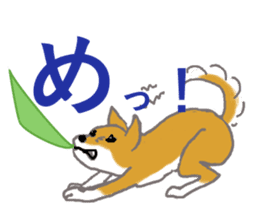Shiba inu no kimochi in Japanese sticker #4976424
