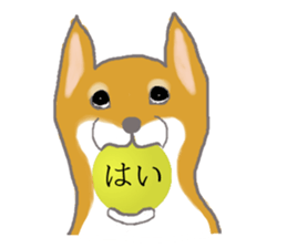 Shiba inu no kimochi in Japanese sticker #4976428