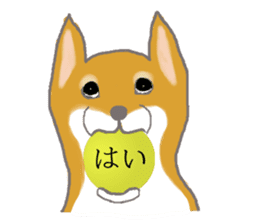 Shiba inu no kimochi in Japanese sticker #4976428
