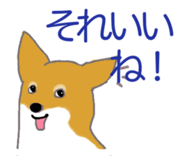 Shiba inu no kimochi in Japanese sticker #4976435