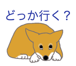 Shiba inu no kimochi in Japanese sticker #4976438