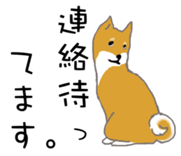 Shiba inu no kimochi in Japanese sticker #4976439
