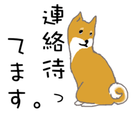 Shiba inu no kimochi in Japanese sticker #4976439