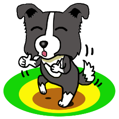 I Love Border Collie3